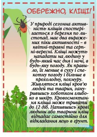 /Files/images/кліщі.jpg